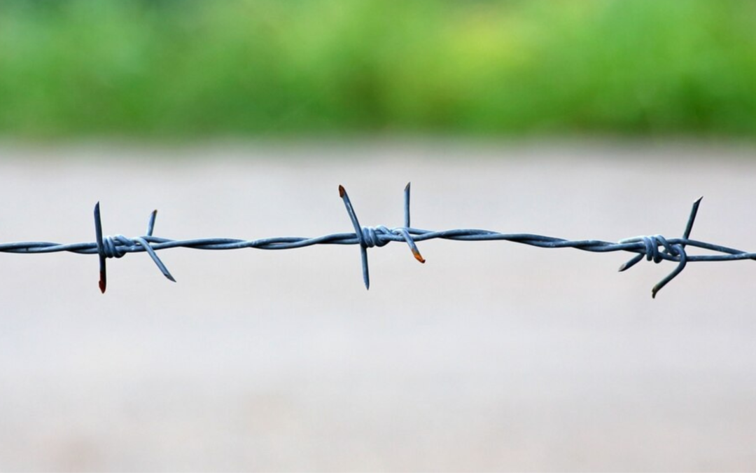 Barbed Wires: From Fencing Innovation to Historical Symbolism