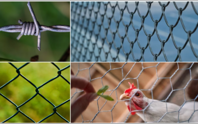 En Garde for Success: The Benefits of Fencing