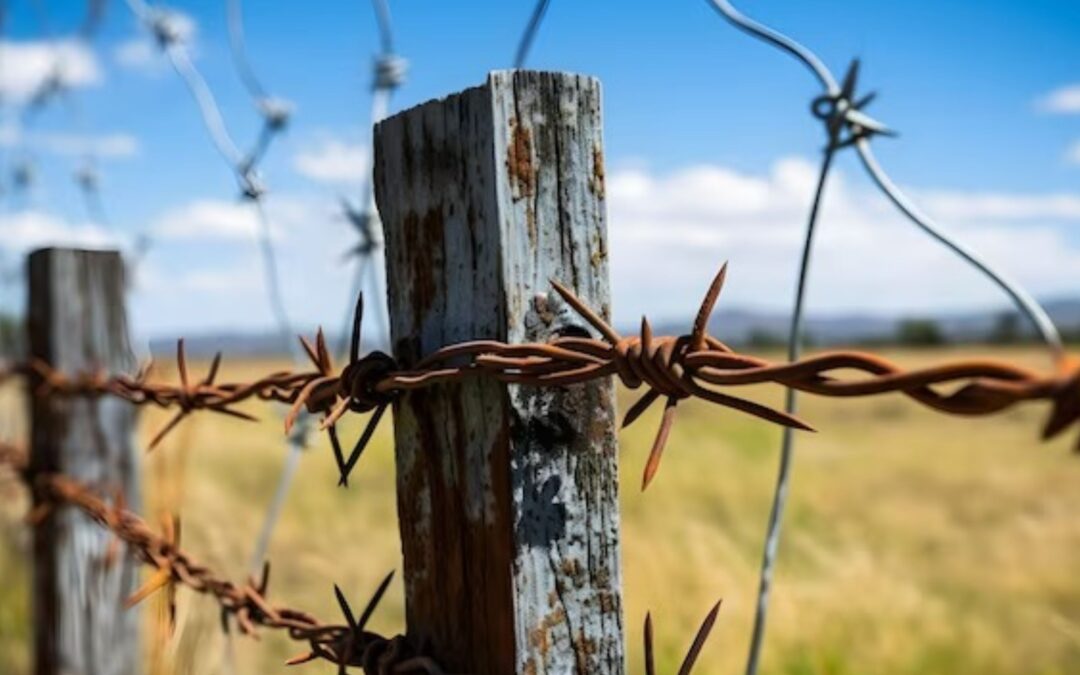 Unraveling the History and Significance of Barbed Wires