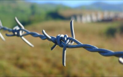 Secure Your Property with Our High-Quality Barbed Fences