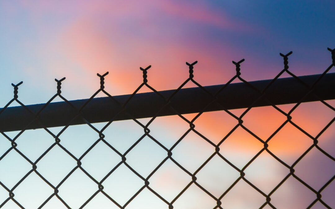 Lakshmi Wire Netting - best fencing -Twist fence - blog post