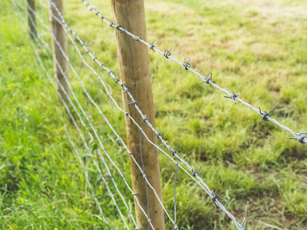 Lakshmi Wire Netting - best fencing - BARBED FENCE - blog post