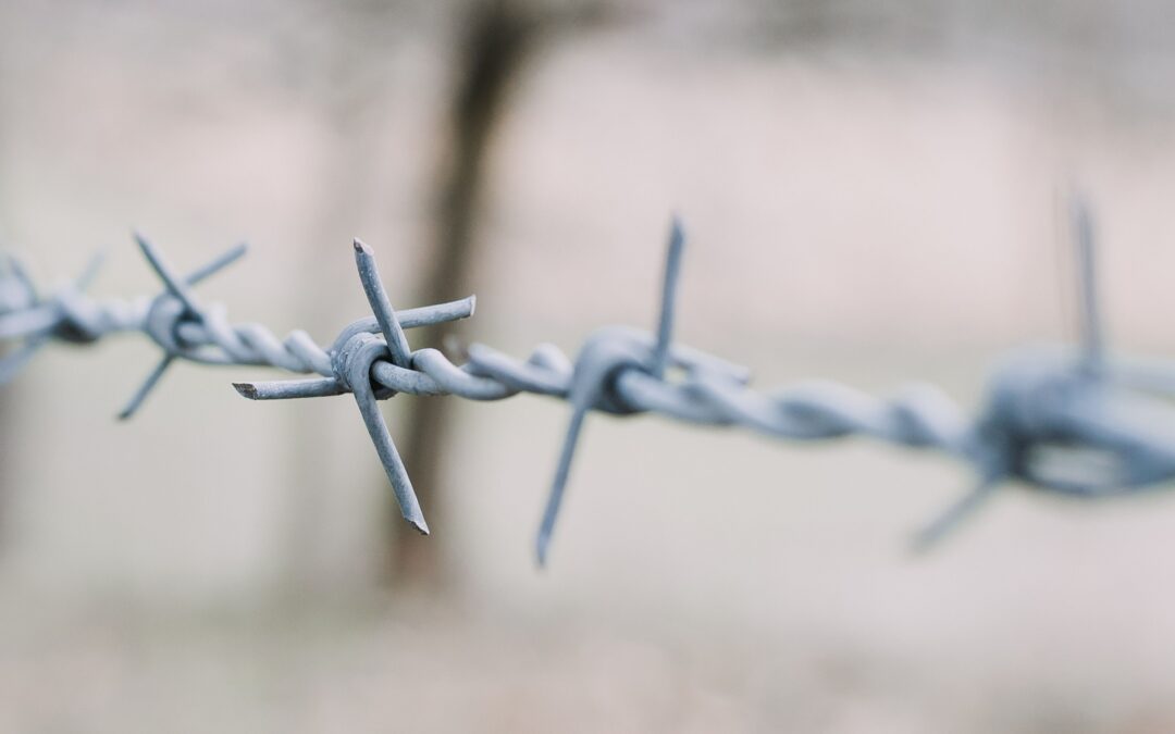 Barbed Fences are Unbelievably Strong and Versatile