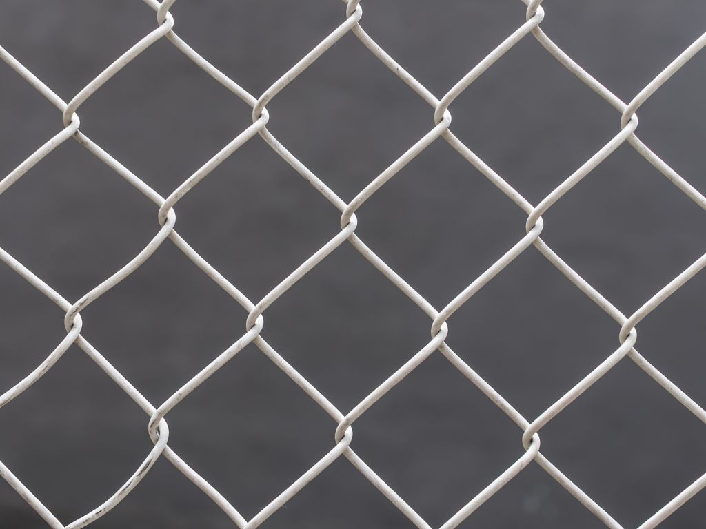 Lakshmi Wire Netting - best fencing - chain link fence - blog post