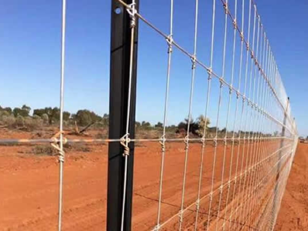 Lakshmi Wire Netting - best fencing -TATA Knot Fence - blog post