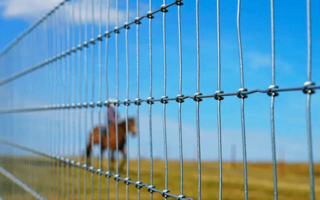 Lakshmi Wire Netting - best fencing -TATA Knot Fence - blog post