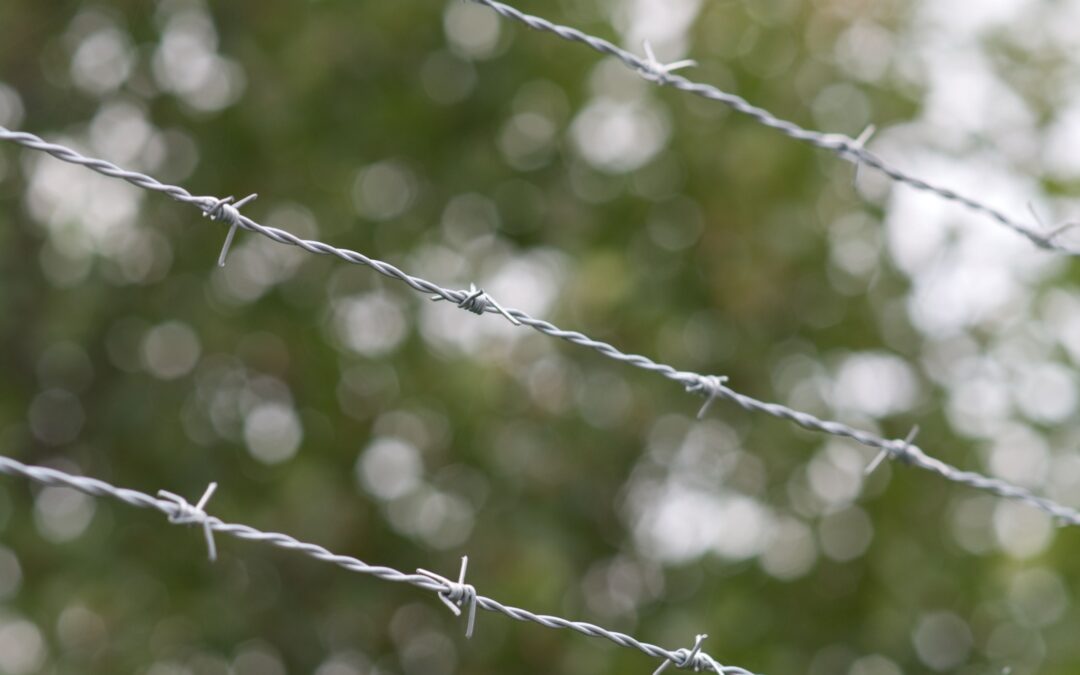 Exploring the Intrigues of Barbed Fences