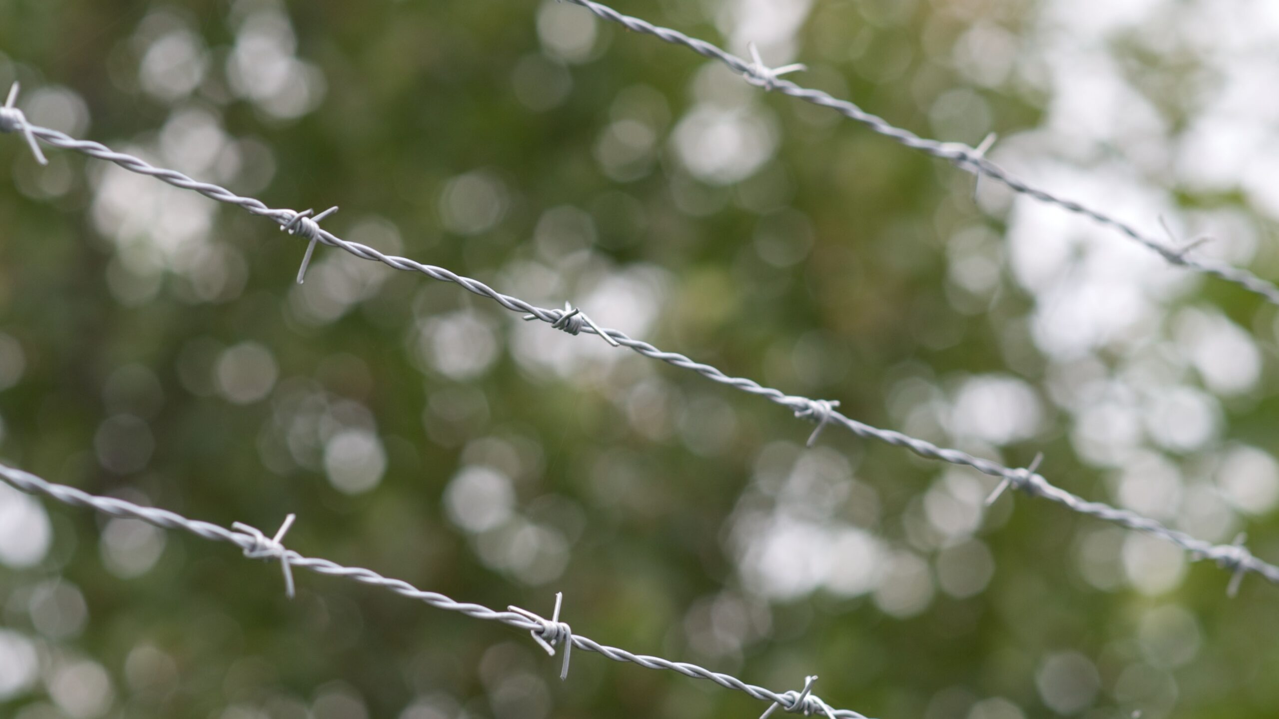 Lakshmi Wire Netting - best fencing - Barbed Fence - blog post