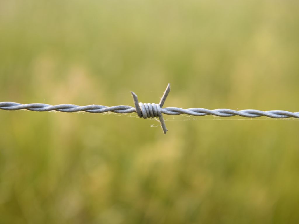 Lakshmi Wire Netting - best fencing - Barbed Wire's Function in Fighting - blog post