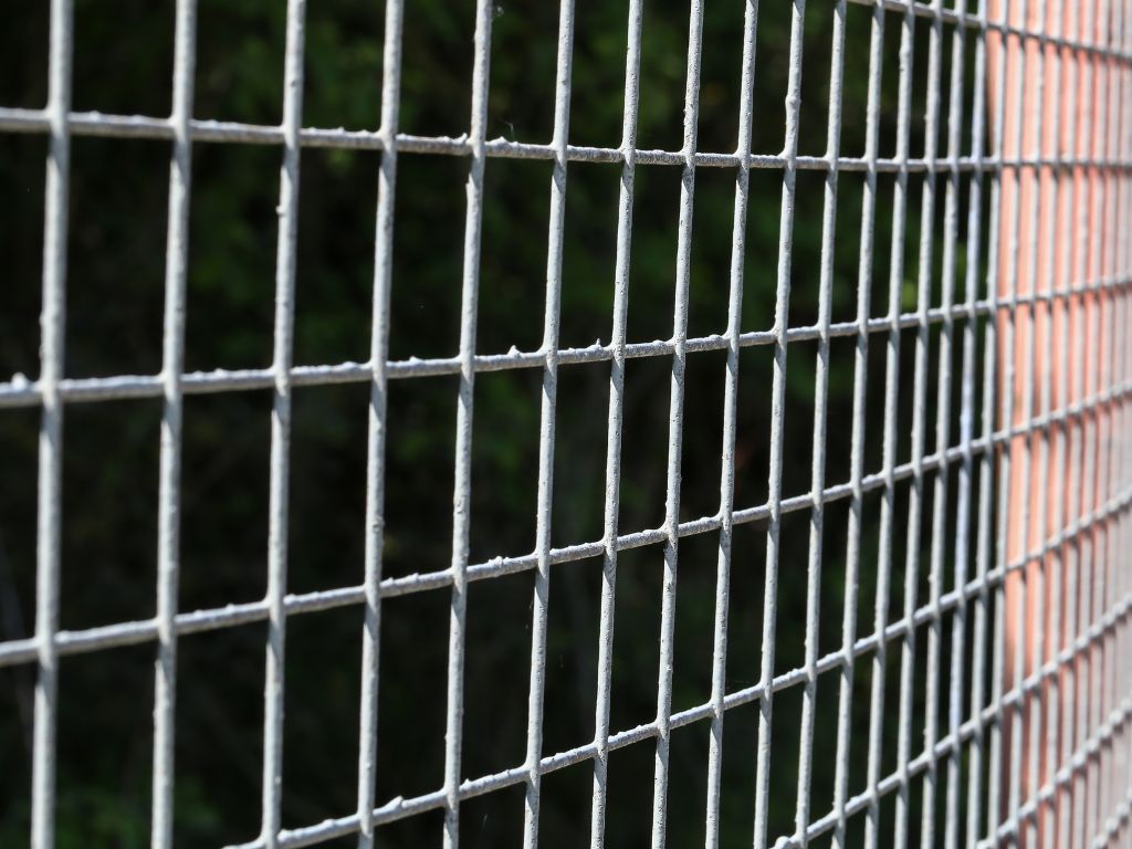 Lakshmi Wire Netting - best fencing - Weld mesh fencing's strength and versatility - blog post