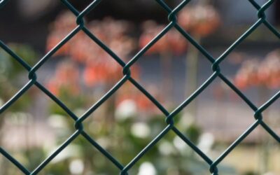 PVC chain link fence : the best choice for your property