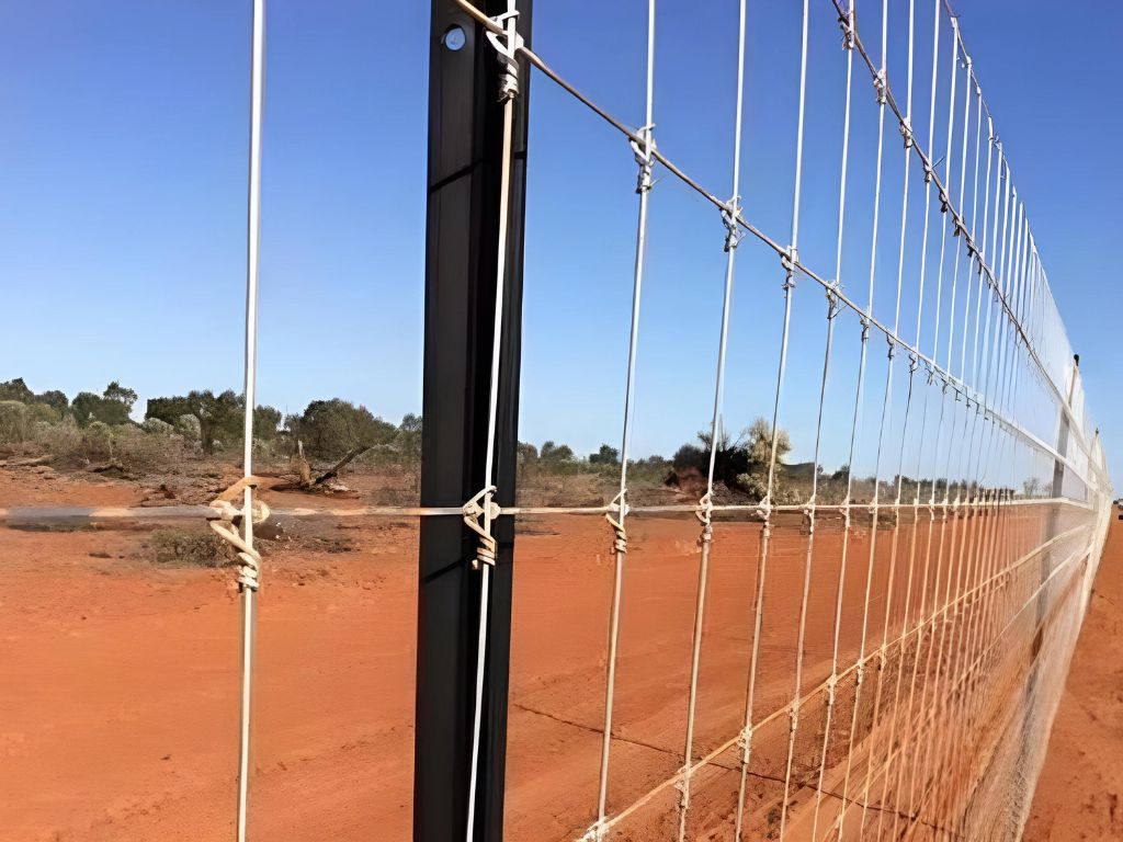 Lakshmi Wire Netting - best fencing - Chicken Mesh - blog post