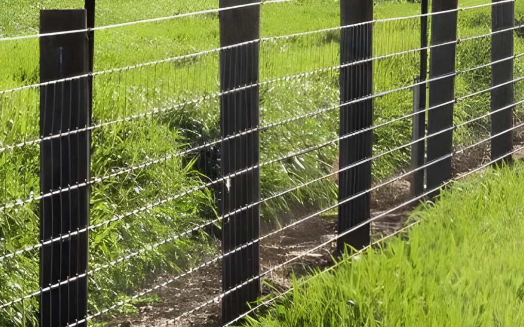 Lakshmi Wire Netting - best fencing - Why Choose Tata Knot Fence? - blog post