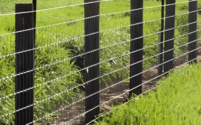 Why Choose Tata Knot Fence?