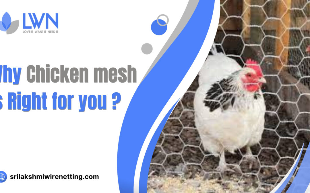 Why Chicken Mesh is Right for You