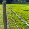 Barbed Wires
