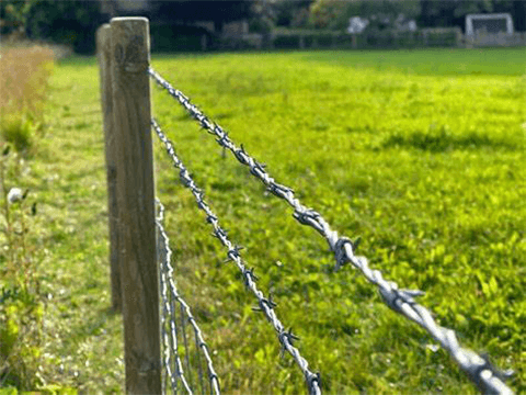 Barbed Wires