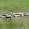 Barbed Wires