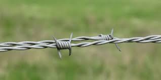 Barbed Wires
