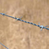 Barbed Wires