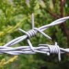 Barbed Wires