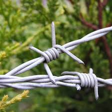 Barbed Wires