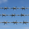 Barbed Wires