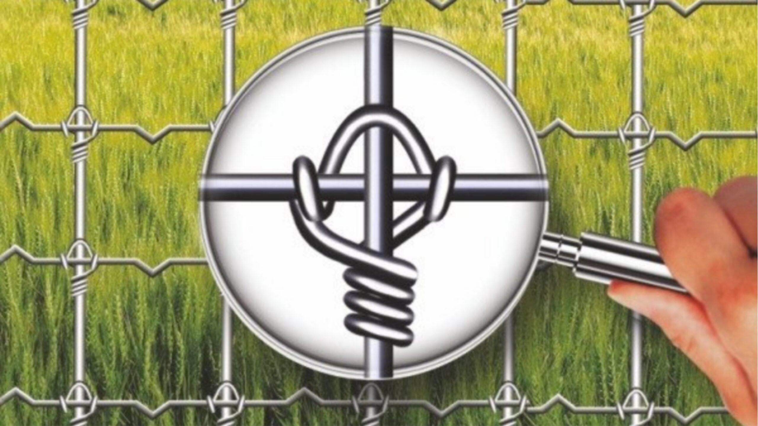 Lakshmi Wire Netting - best fencing - Top Reasons to Choose Tata Knot Fence for Ultimate Security 2