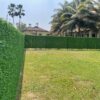 Privacy Grass Fence
