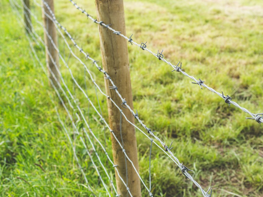 Lakshmiwirenetting - Best fencing - Barbed Fences are Unbelievably Strong and Versatile 3