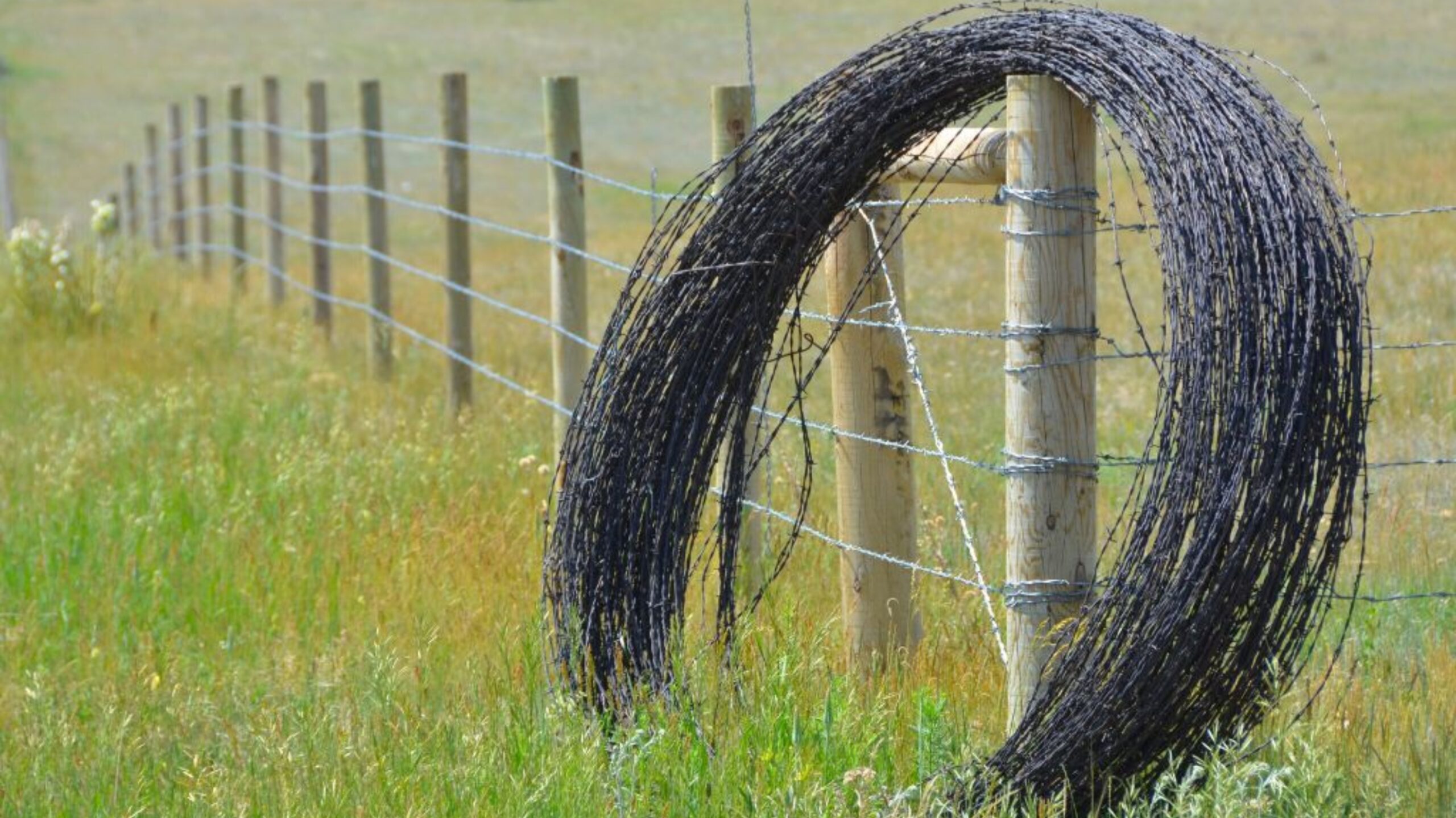 Lakshmiwirenetting - Best fencing - Barbed Fences are Unbelievably Strong and Versatile 4