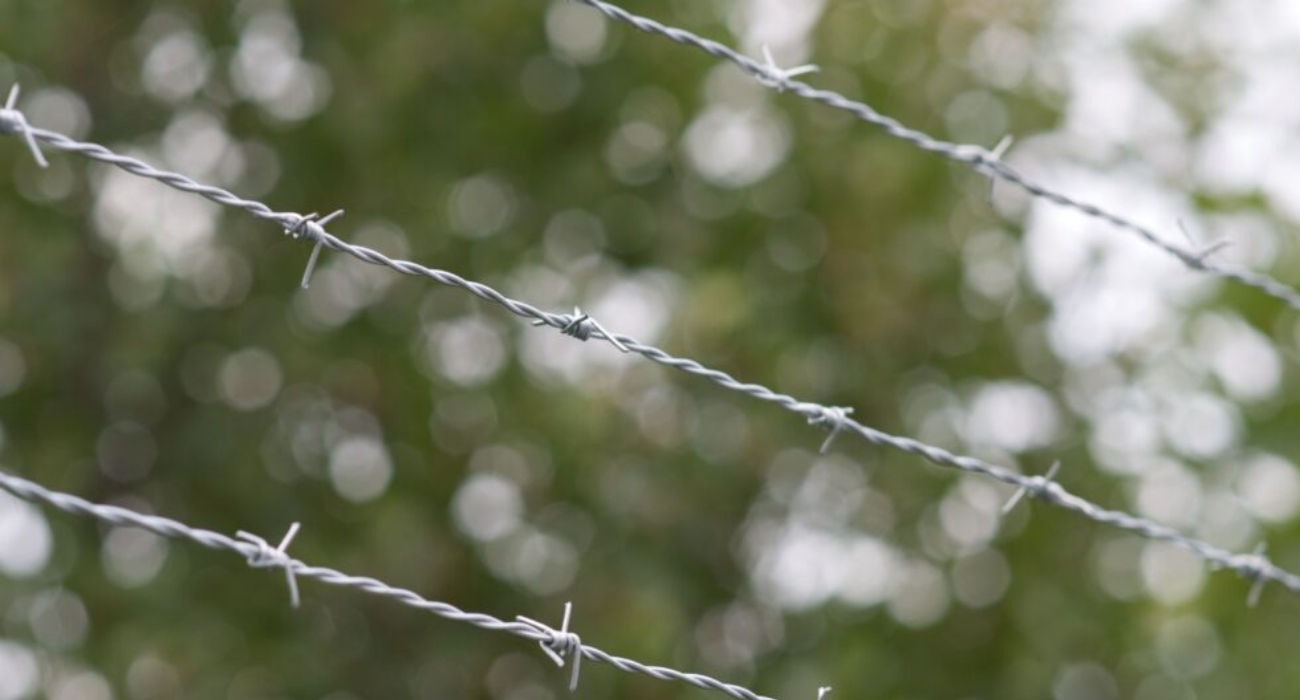 Lakshmiwirenetting - Best fencing - Exploring the Intrigues of Barbed Fences 2