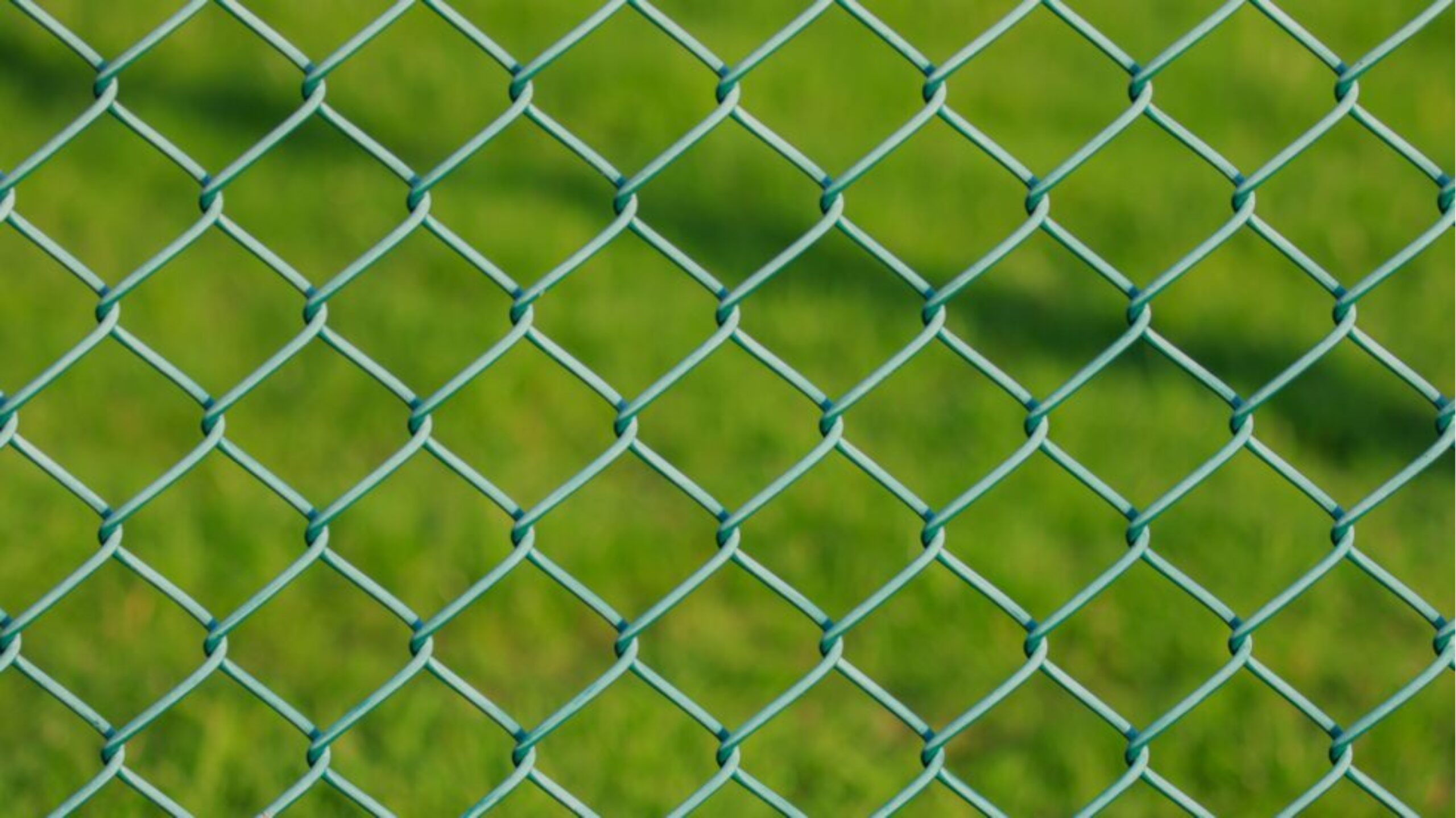 Lakshmiwirenetting - Best fencing - High-End PVC Chain-Link Fencing Options for Complete Safety 2