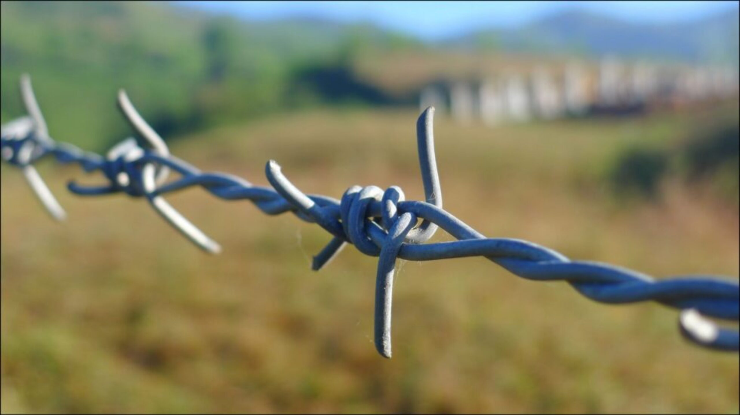 Lakshmiwirenetting - Best fencing - Secure Your Property with Our High-Quality Barbed Fences 2