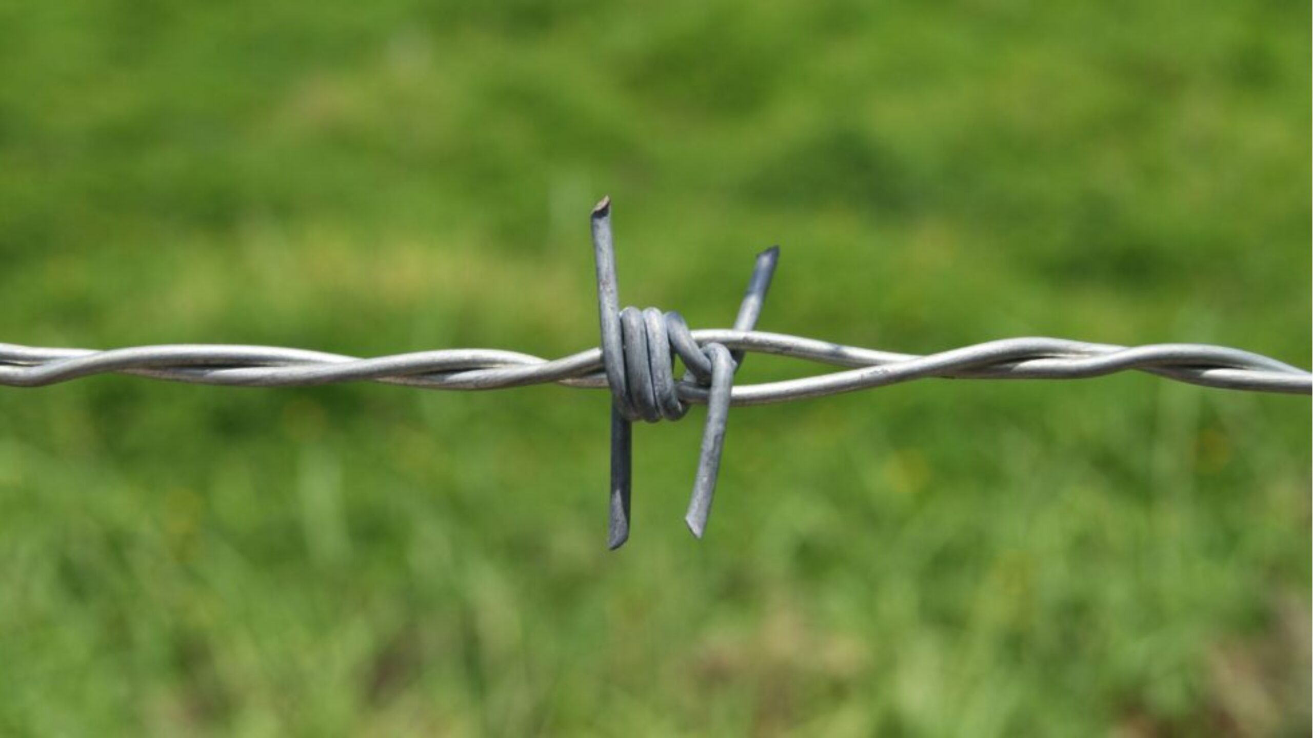 Lakshmiwirenetting - Best fencing - The Complete Manual for Superior Barbed Wire Fencing 2