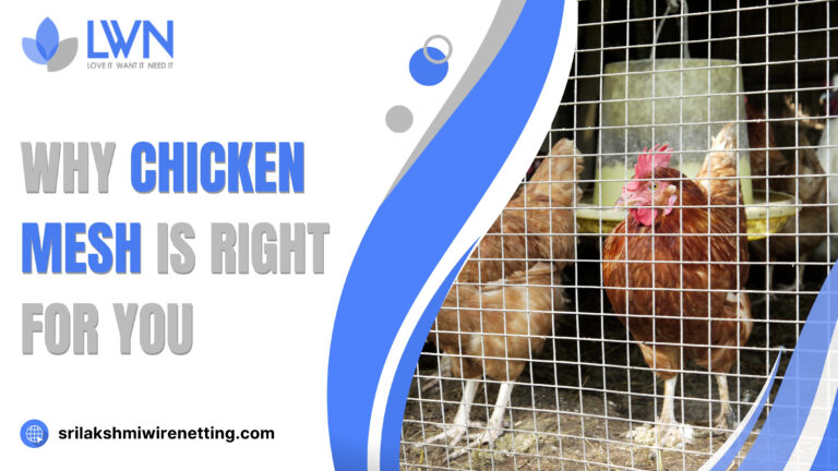 Lakshmiwirenetting - Best fencing - Why Chicken Mesh is Right for You 1