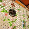 Lattice sheet