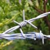 Barbed Wires