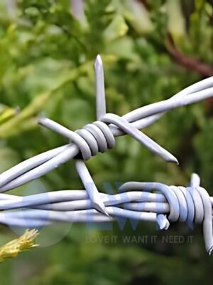 Barbed Wires