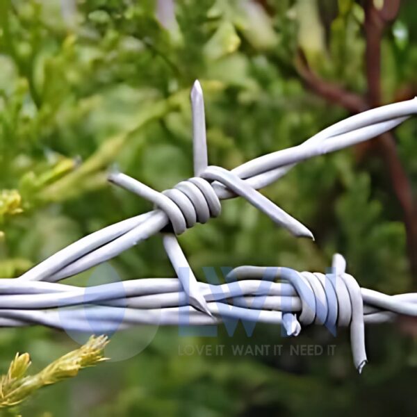 3 Barbed Wires