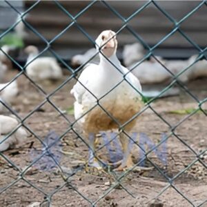 Poultry Chainlink Fencing