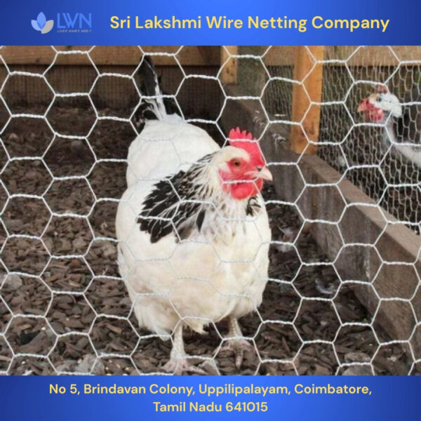 Chicken Mesh