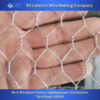 Chicken Mesh