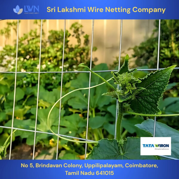 TATA 8 Guage wire for Trellis Farming