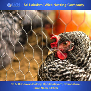 Chicken Mesh