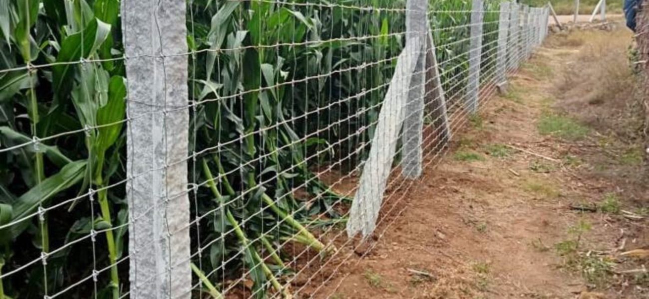 Lakshmiwirenetting - Best fencing - Tata Knot Fence - A Stylish Solution for Security and Beauty 4
