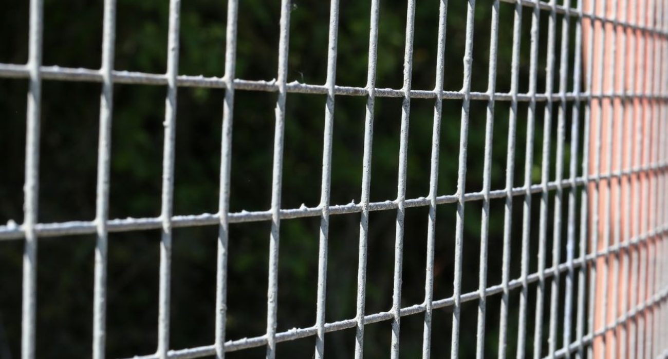 Lakshmiwirenetting - Best fencing - Weld Mesh Fencing’s Strength and Versatility 4