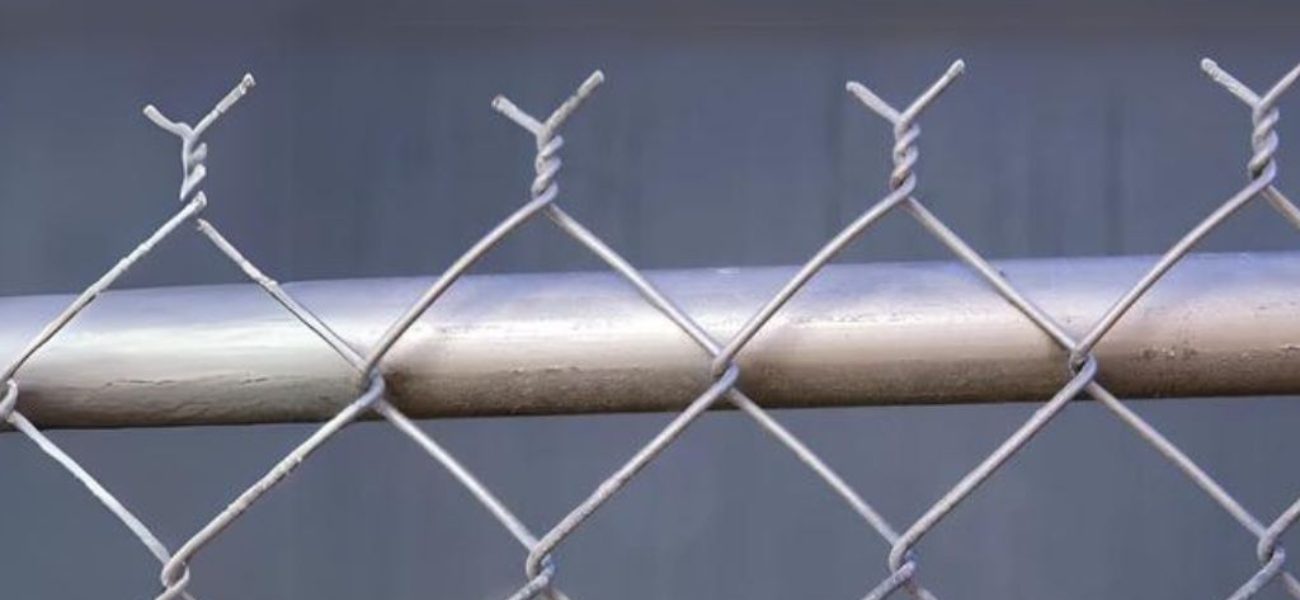 Lakshmiwirenetting - Best fencing - Where Security and Style Collide with Twist Fencing 4